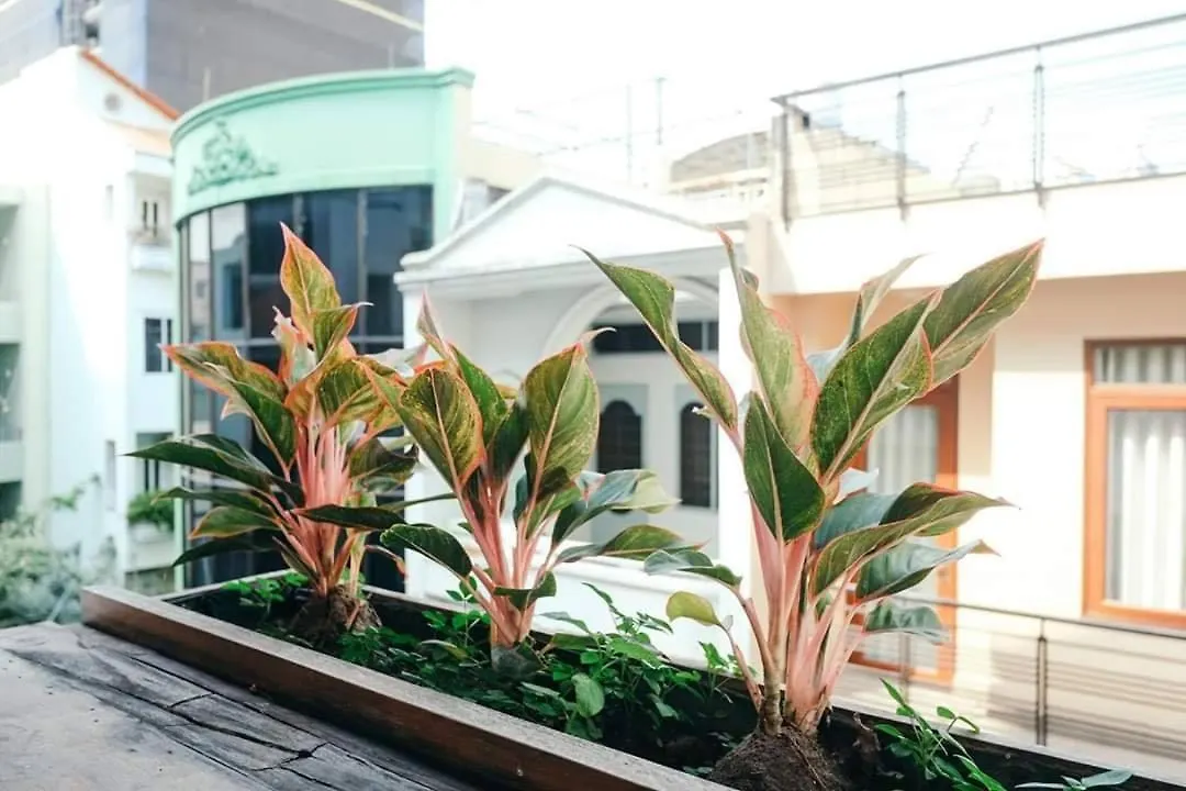 Urban Saigon Stays Near Embassy Ho Chi Minh City Vietnam